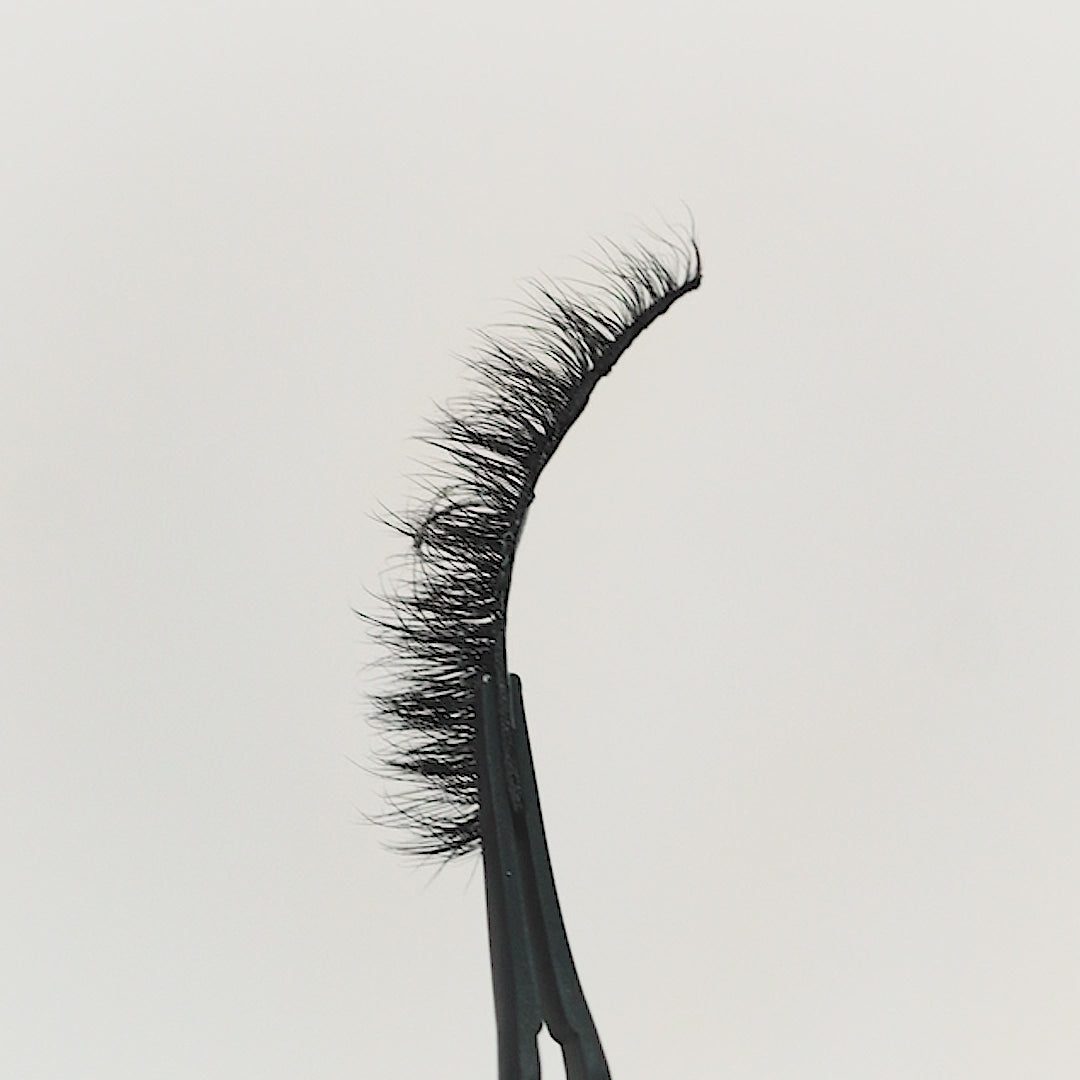 Noir - 3 Pairs